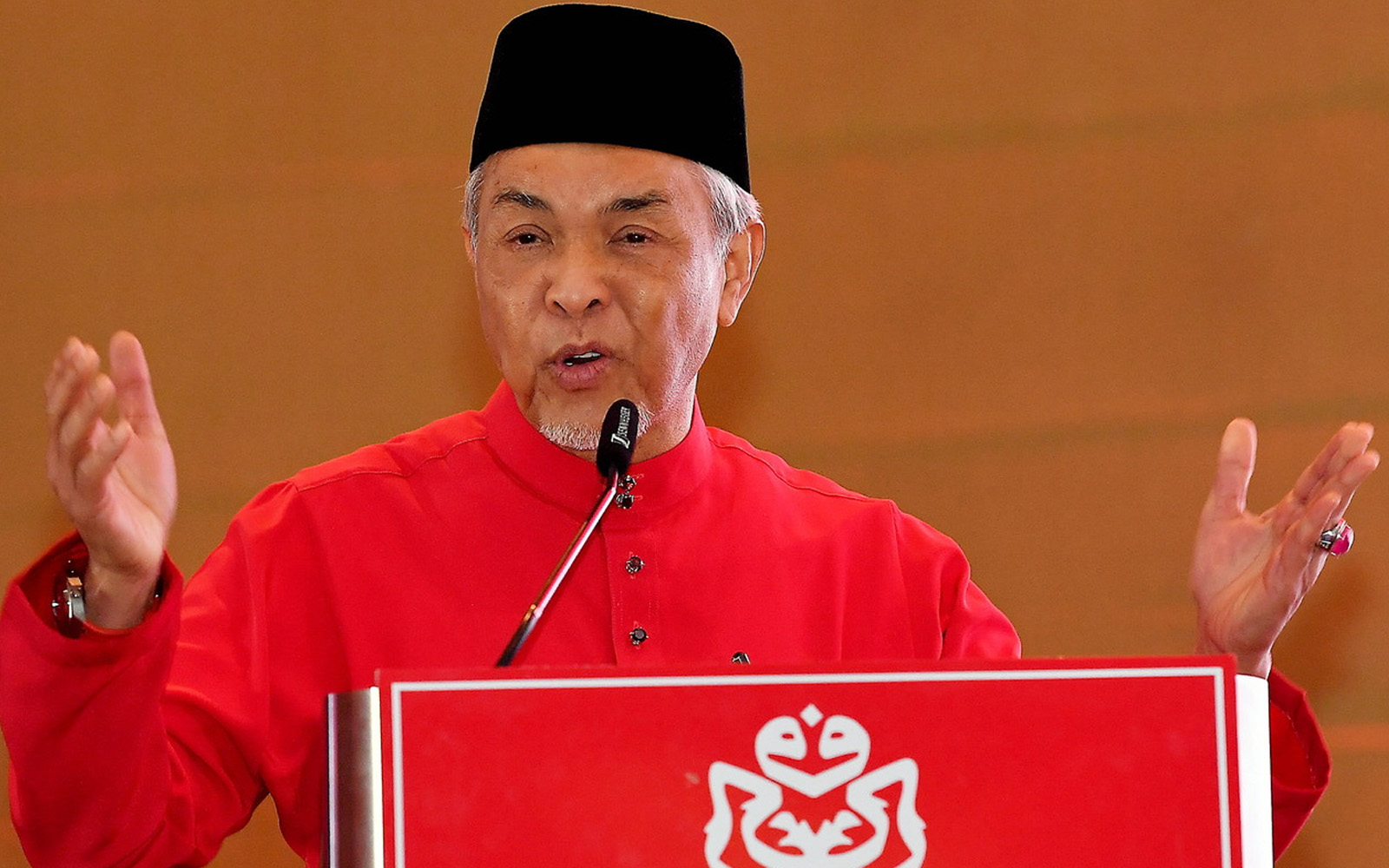 Zahid not Umno’s only PM-in-waiting, says analyst