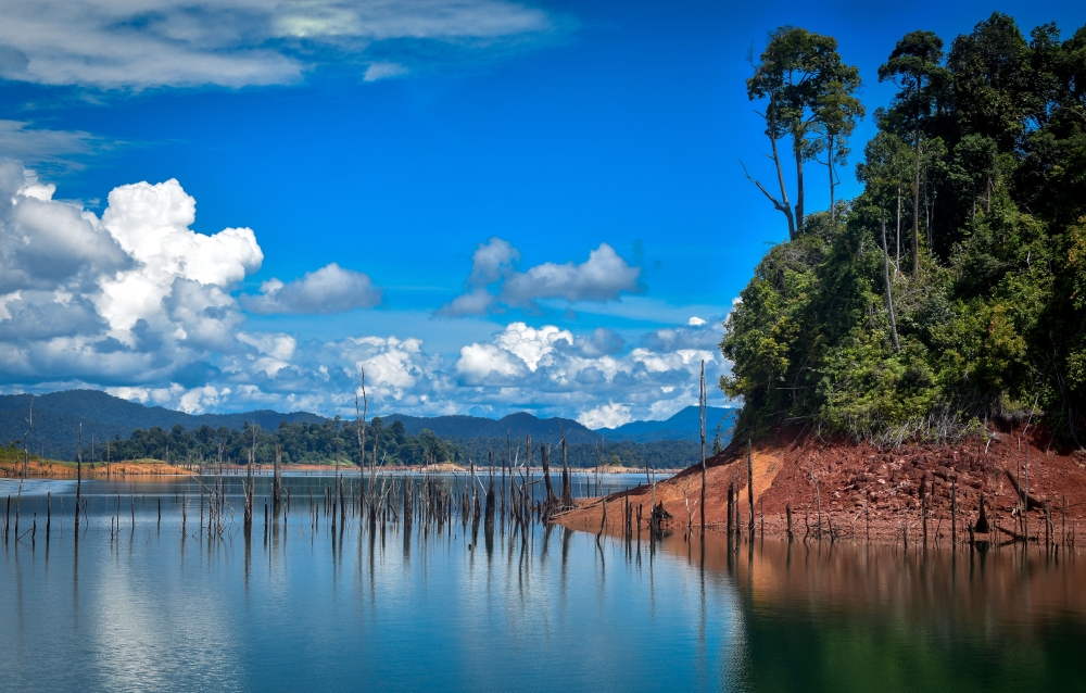 Where did Tasik Bera’s forest go? Pahang probes suspected illegal clearing of 7,000ha for crops