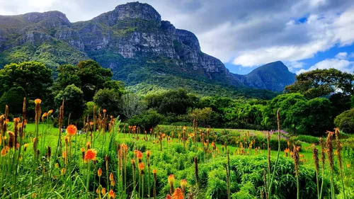Kirstenbosch infrastructure concerns resurface as SANBI gardens face R839m backlog