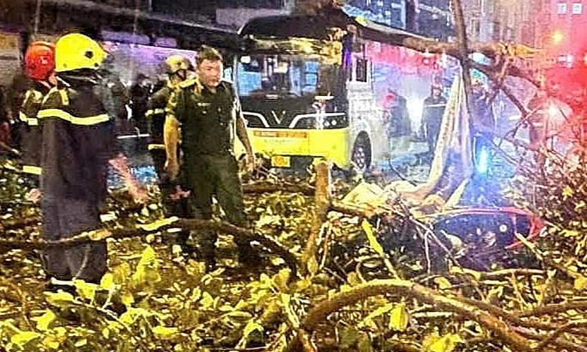 Man killed in HCMC after falling tree branch crushes motorbike during thunderstorm