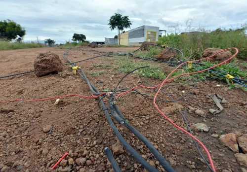 High Court orders Eskom to pay damages after child electrocuted by powerline