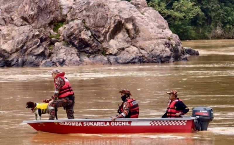 From fires to landslides, K9 dogs answered 277 calls in 2026