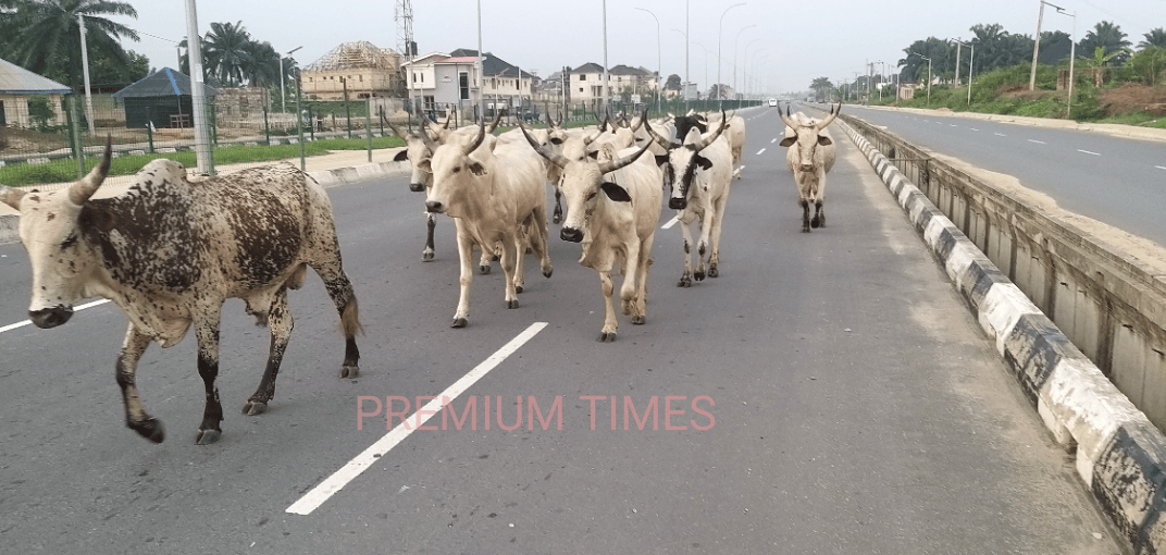 Cross River plans ranching, livestock clusters to curb farmer-herder conflicts