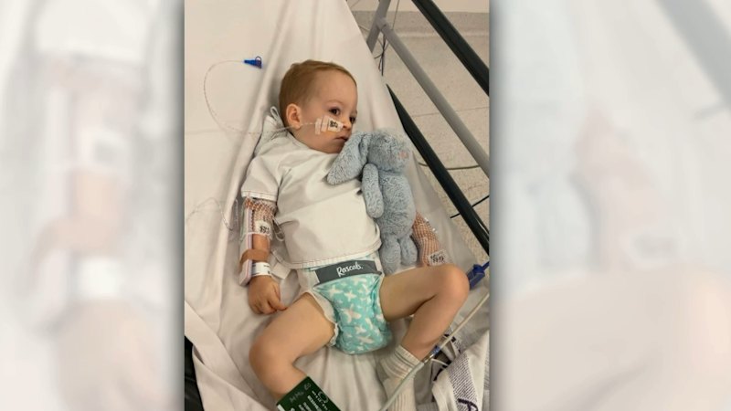 Children suffer kidney failure from petting zoo infection