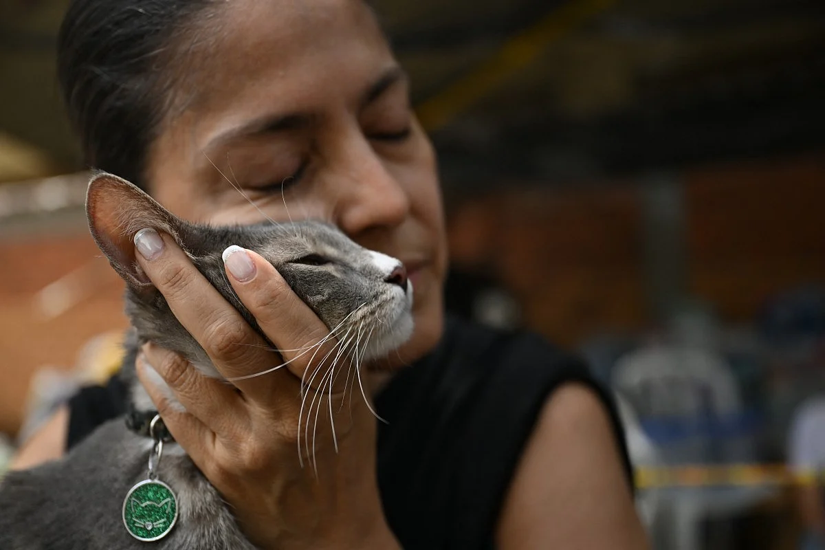 ‘Dream come true’: Colombian woman reunited with cat rescued from quake rubble