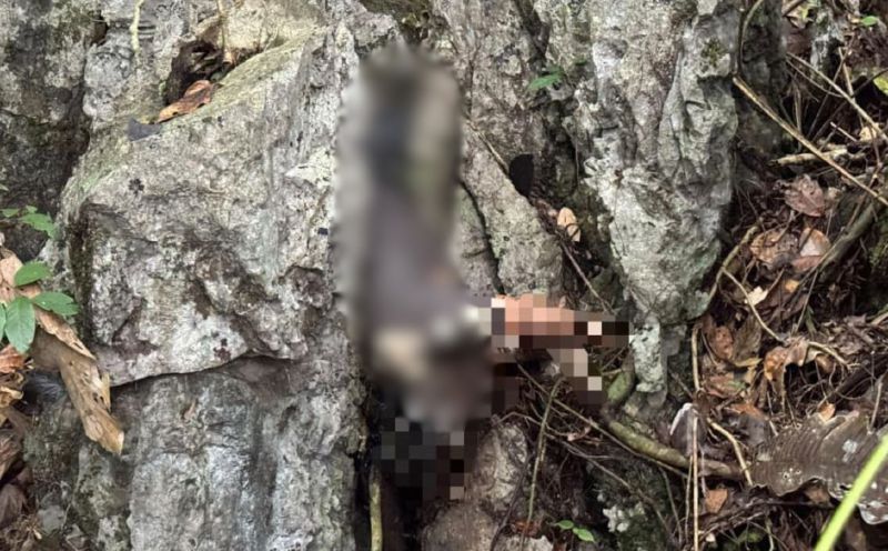 Missing man found dead wedged between rocks near Bau home