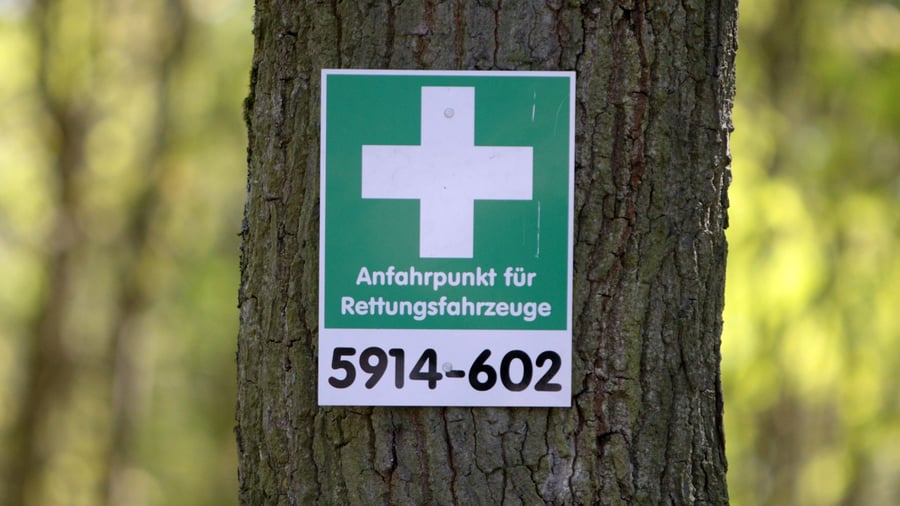 Feuer: Wenn der Wald brennt: die wichtigsten Verhaltensregeln