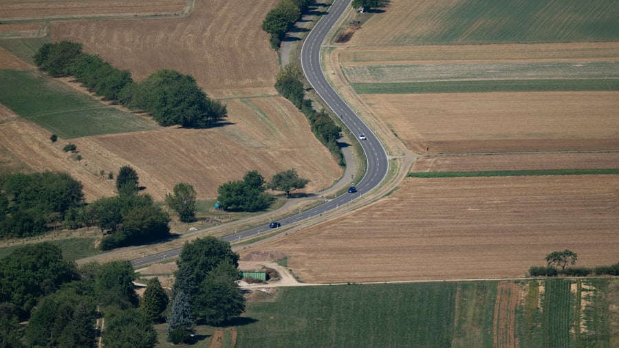 Hitzewelle: Bauernverband befürchtet teils totalen Ernteausfall