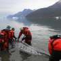 How narwhal 'scientists' track Arctic warming