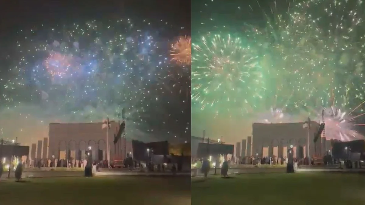 Karachi Aerial Firing Injures Over 85 On Pakistan Independence Day Eve, Woman Reportedly Killed | VIDEO