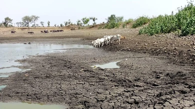 Rainfall Deficit Deepens As Farmers Fear Crop And Water Crisis In MP’s Dhar