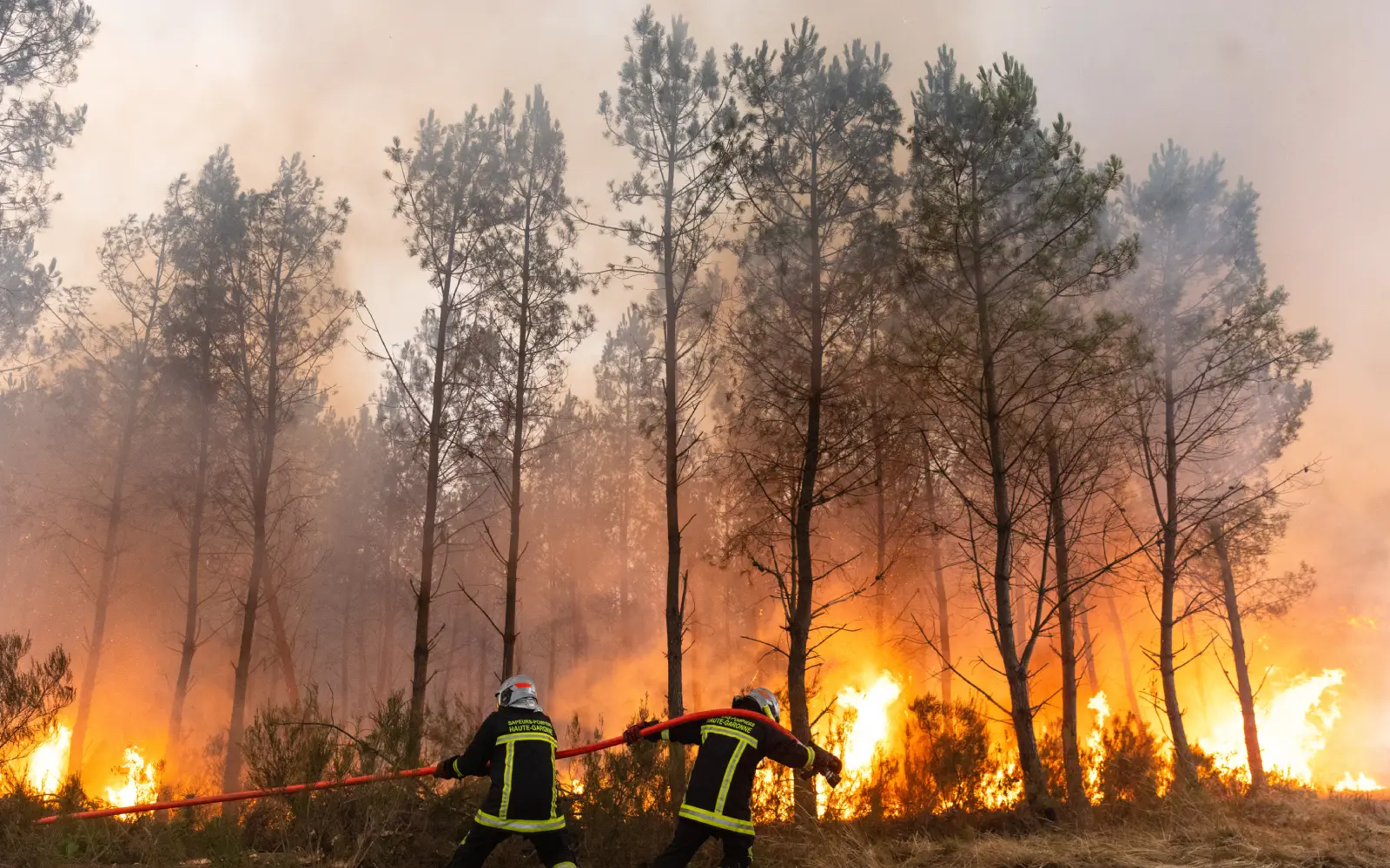 New wildfire forces hundreds to evacuate in France