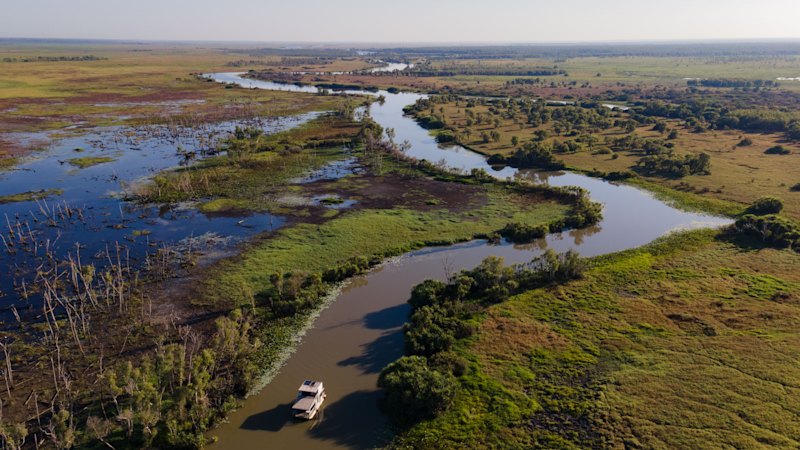 Forget Africa – some of the wildest wildlife is in our own backyard
