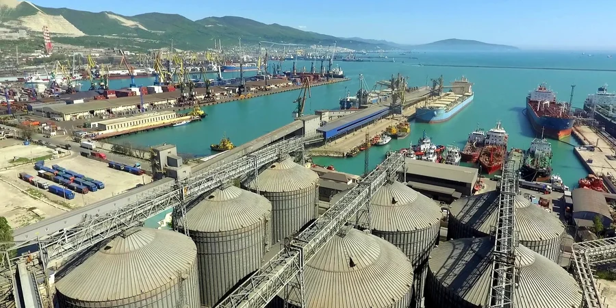 All three Novorossiysk grain terminals halt operations after Ukrainian strike