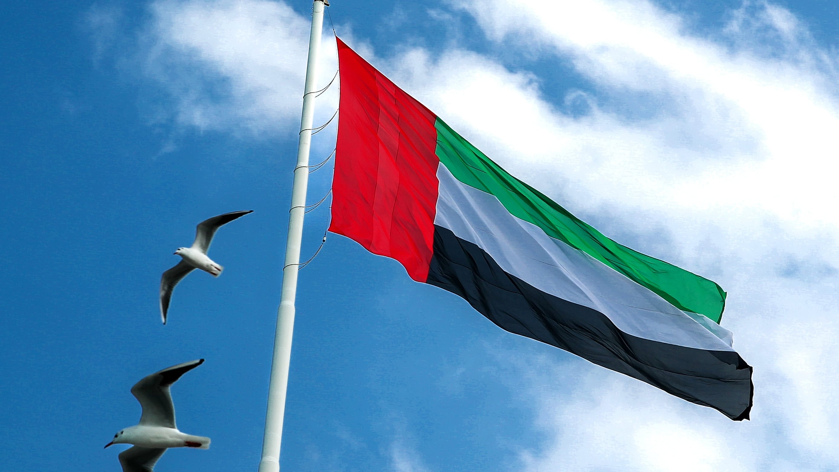 UAE official source responds to claims that Israel was warned of October 7 attack