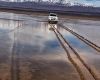 Argentina restricts access to an Andean plain after damage caused by a pickup truck