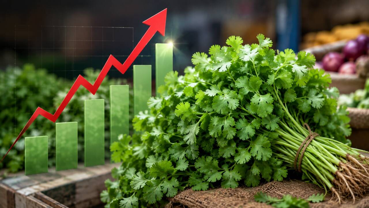 Your humble dhaniya no longer free! Coriander prices rise above Rs 200 kg