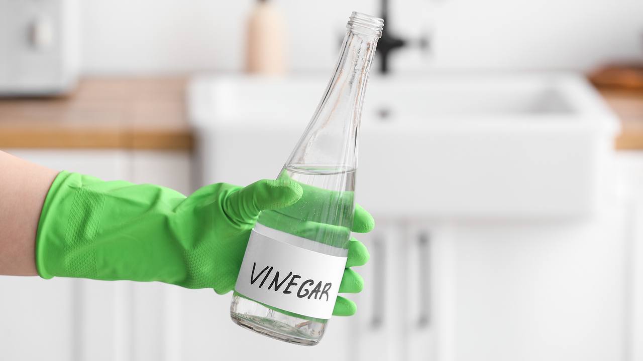 Cleaning vinegar vs white vinegar: Why you need to know the difference (and what to avoid)