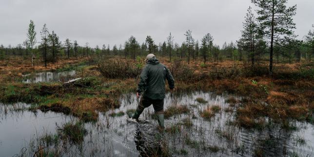 Finland wants to restore its peatlands to help the environment. And to slow Russian tanks.