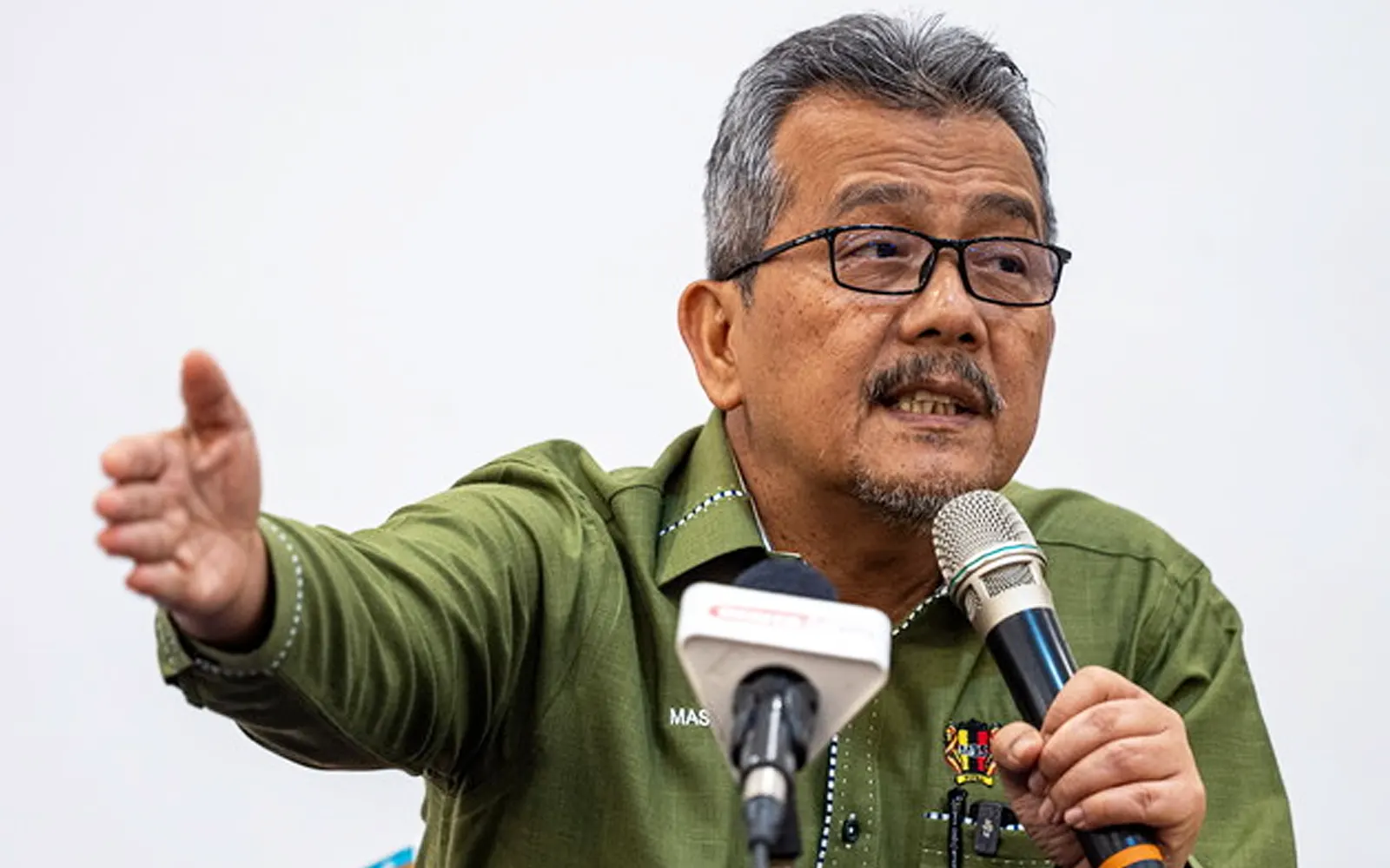 Don’t just criticise stray dog bounty scheme, says Seremban mayor