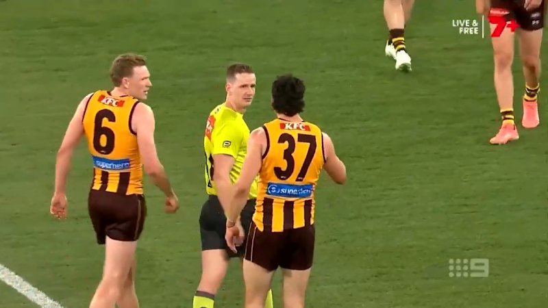 Hawks pair likely to face scrutiny for umpire discussion