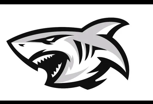 The legacy of the Sharks: Embracing change while honouring tradition