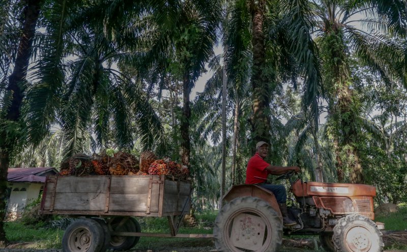 FGVPI targets RM1bil profit before tax by 2030