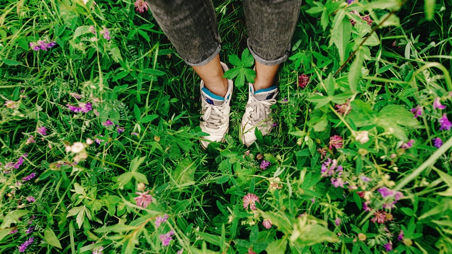 Weekend Newsletter: Why happiness is often so close – Handelsblatt weekend