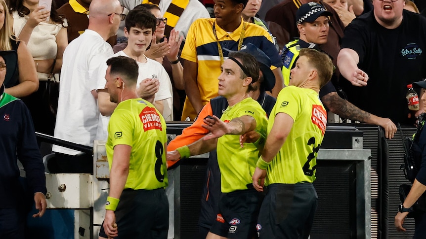 AFL bans loom for bottle-throwing Hawks fans