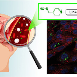 TalTech: Nanodiamonds may help antidotes for nerve agents reach the brain