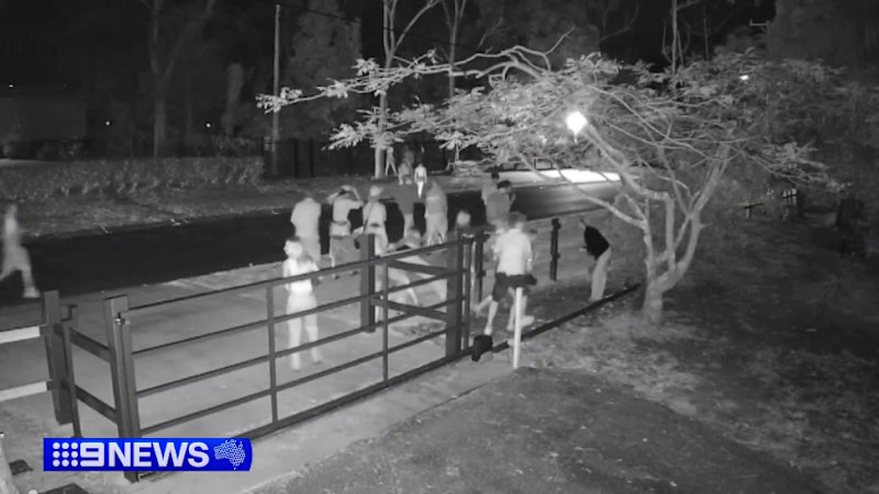 House party spirals out of control