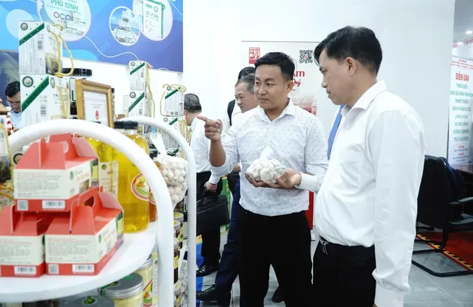 Ho Chi Minh City, Central, Central Highlands provinces strengthen OCOP linkages