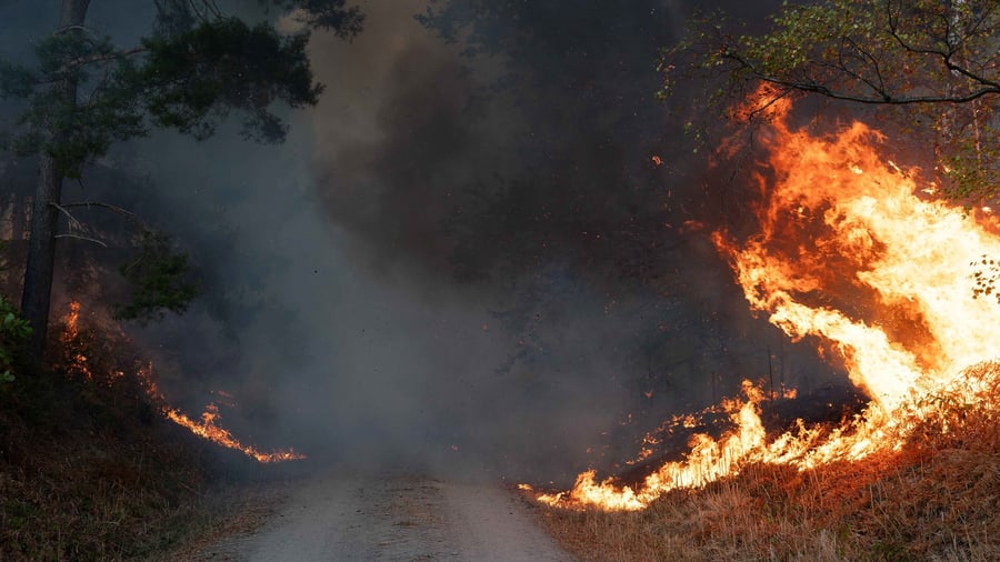 Waldbrände in Deutschland: Warum es gerade so brandgefährlich ist