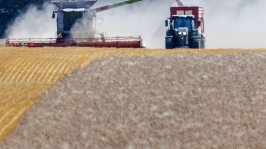 Landwirtschaft: Bauernverband befürchtet teils totalen Ernteausfall
