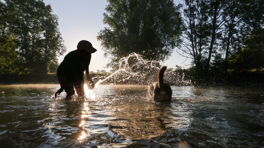 Real Estate: Which Cities Are Exemplary in Heat Protection – And Which Are Lagging Behind