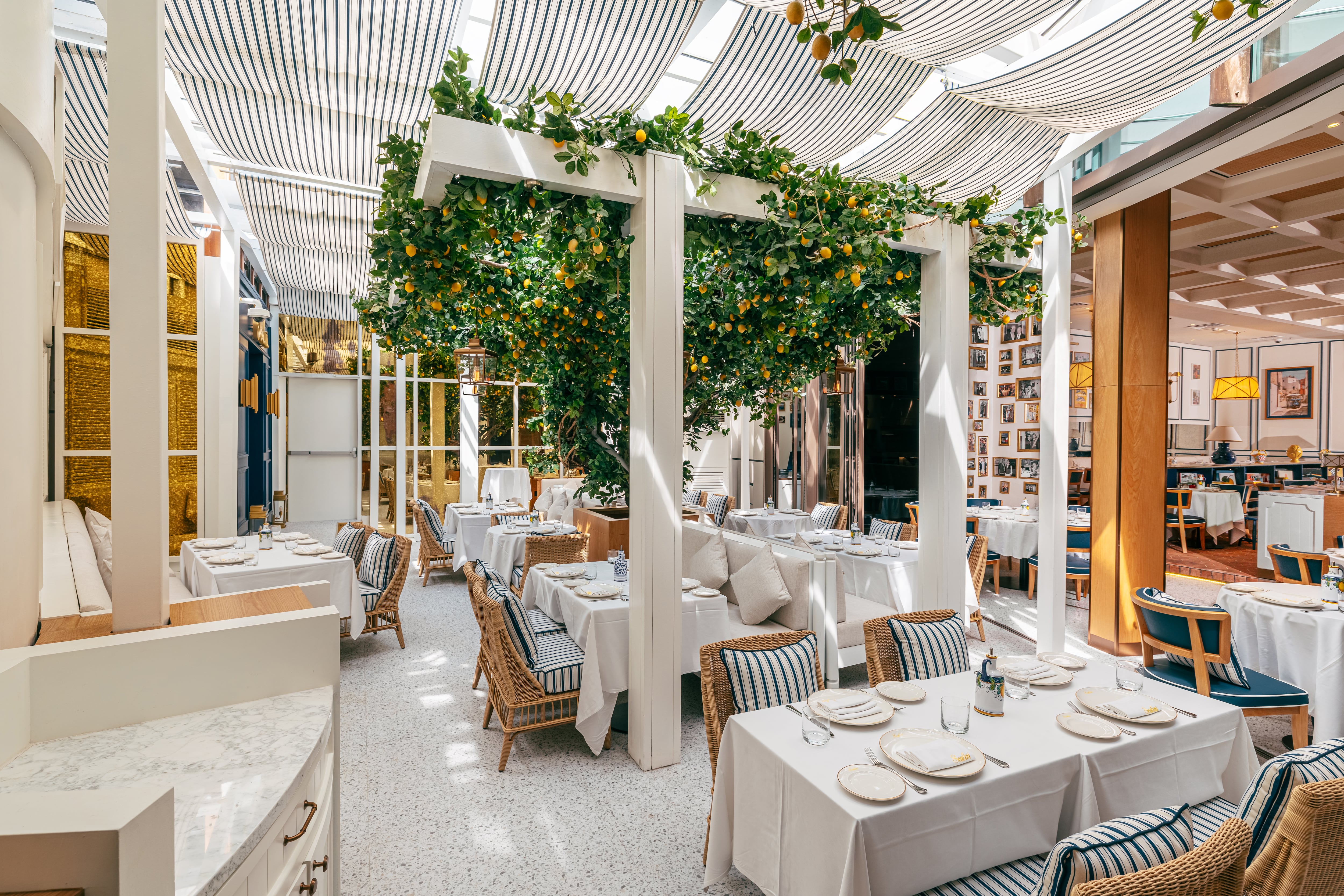 UAE restaurants reopening in 2026, from Hakkasan and Scalini to Tattu Dubai