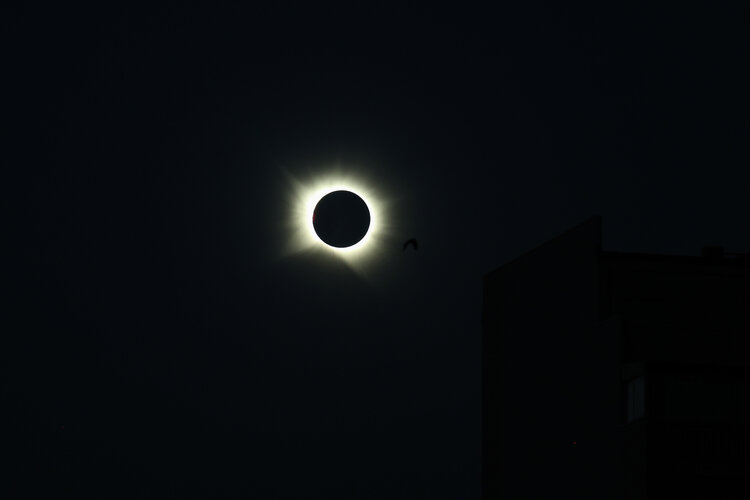 A look back at the 2026 total solar eclipse