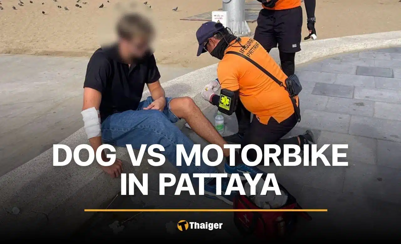 Foreign tourist hurt in Pattaya motorbike crash after dog runs out