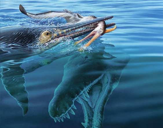 This Ichthyosaur Chomped a Pterosaur—Then Got Chomped by Something Bigger