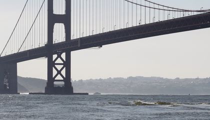 Marine Biologists Solved a Wildlife Mystery From the Walkway of the Golden Gate Bridge: How the Harbor Porpoise Mates