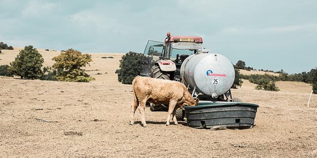 Le Conseil constitutionnel valide la quasi-totalité de la loi d’urgence agricole, y compris les volets controversés sur la réintroduction dérogatoire de pesticides interdits