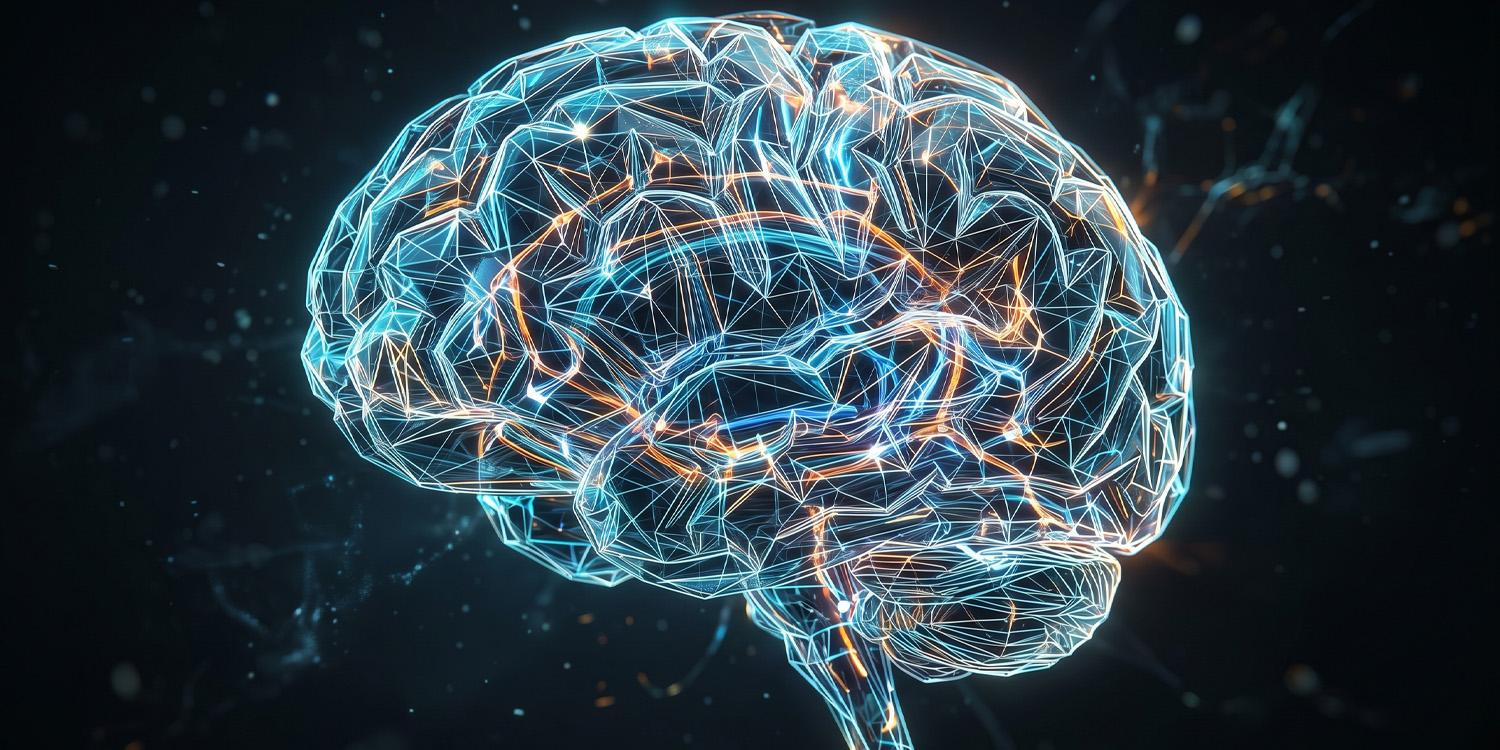 Neuroscientists uncover a universal mechanism for human decision making