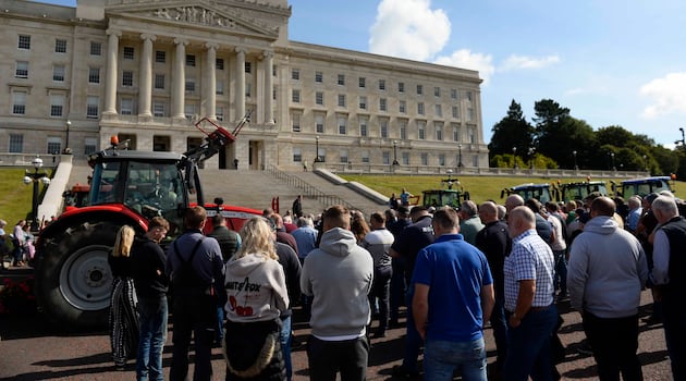 Farmers’ union calls for NI Minister to resign amid row over shooting of cows