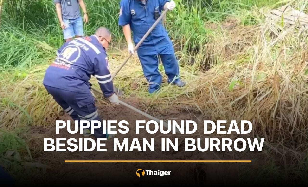 Chon Buri man dies in a burrow trying to save newborn puppies from flood