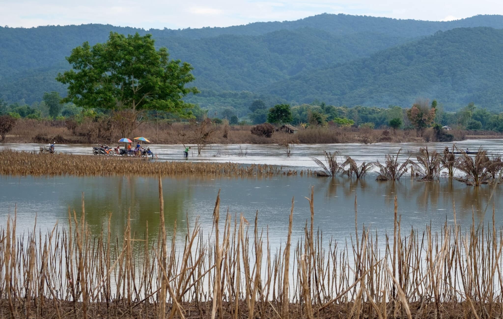 Chiang Rai Pushes for Ramsar Status of Lower Ing Basin