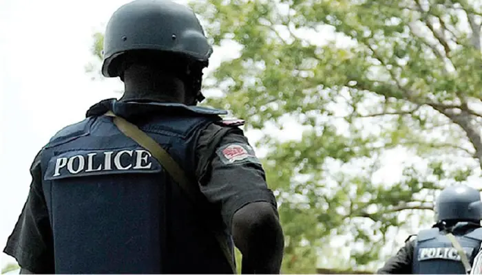 Lagos police raid cult hotspot, arrest suspect, recover pistol