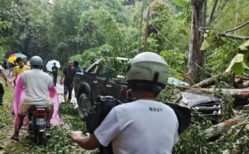 Two senior citizens injured after tree falls on 4WD in Bentong