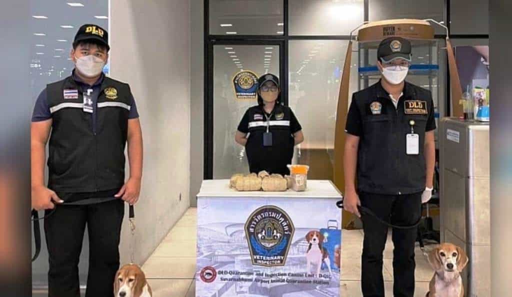 Bringing Food into Thailand: Rules and Penalties
