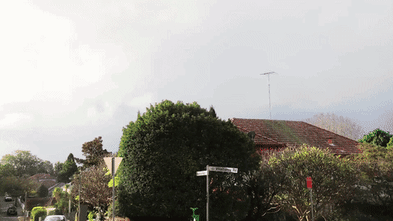 Housing and heritage ‘can coexist’ as images reveal how towers would change Woollahra