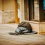 Commentary calls for dementia-level support to address cognitive impairment in homelessness